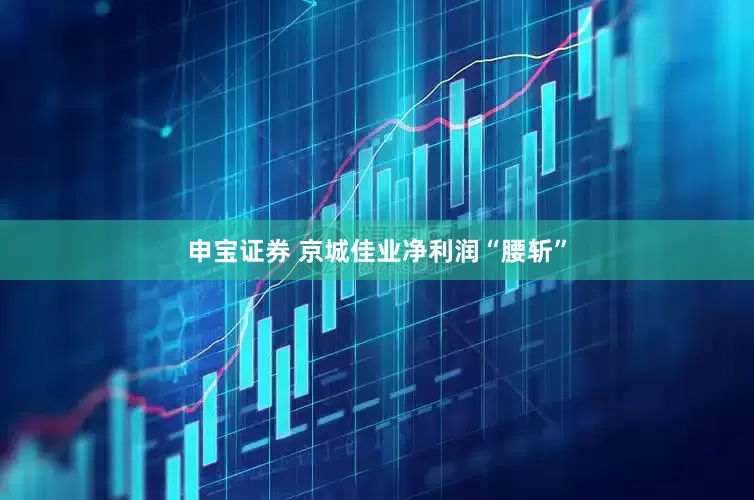 申宝证券 京城佳业净利润“腰斩”