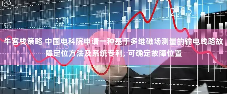 牛客栈策略 中国电科院申请一种基于多维磁场测量的输电线路故障定位方法及系统专利, 可确定故障位置